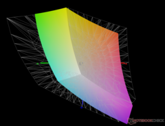 contro Adobe RGB - 67% di copertura