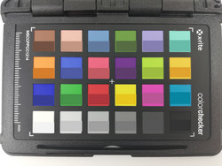 ColorChecker: La metà inferiore di ogni casella rappresenta il colore di riferimento.