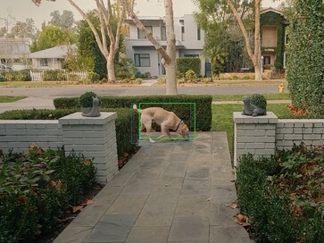 La nuova funzione può utilizzare l'intelligenza artificiale per rintracciare e localizzare gli animali domestici in un quartiere