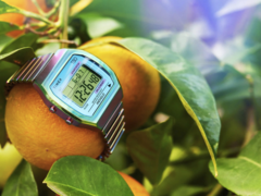 L'orologio Timex 80 36 mm (nella foto) con cinturino ad espansione in acciaio inossidabile. (Fonte: Timex)