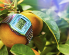 L'orologio Timex 80 36 mm (nella foto) con cinturino ad espansione in acciaio inossidabile. (Fonte: Timex)