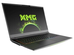 XMG Neo 17 (Tongfang GM7ZG7S): Dispositivo di test fornito da Schenker Technologies