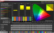 Precisione colore CalMan (profilo Predefinito, spazio colore target: sRGB)