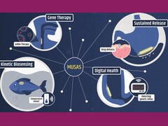 Un'infografica che mostra alcune potenziali applicazioni di MUSAS (Fonte immagine: Giovanni Traverso; screenshot modificato)