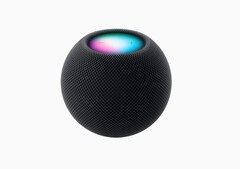 L&#039;HomePod mini in versione Midnight sembra un po&#039; più scuro della variante Space Gray. (Fonte immagine: Apple)