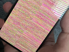 Un esempio del problema della neve del display su un Google Pixel 10. (Fonte immagine: u/Ok_Economist_3997)