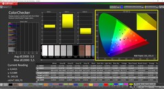 CalMAN ColorChecker (profilo: Default, spazio colore di destinazione: P3)