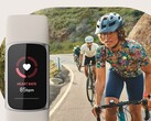 La funzione Tendenze insolite di Fitbit utilizza dati come la frequenza cardiaca e la frequenza respiratoria. (Fonte: Fitbit)