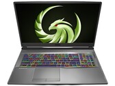 Ha uno schermo da 17 pollici e la tecnologia AMD: L'MSI Alpha 17