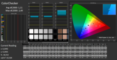 CalMAN - ColorChecker (dopo la calibrazione)