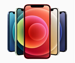 È stato rilevato che l'iPhone 12 emette più radiazioni del dovuto quando viene messo in tasca. (Fonte: Apple)