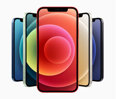 È stato rilevato che l&#039;iPhone 12 emette più radiazioni del dovuto quando viene messo in tasca. (Fonte: Apple)