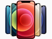 È stato rilevato che l'iPhone 12 emette più radiazioni del dovuto quando viene messo in tasca. (Fonte: Apple)