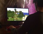 L'immagine mostra una persona che gioca a Minecraft su un PC 