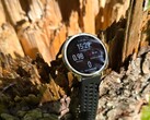 Lo smartwatch Amazfit Active 2