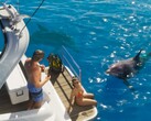 Si prevede che la pesca in GTA 6 sarà dettagliata più o meno quanto in Red Dead Redemption 2, ma i pesci catturati dovranno essere rilasciati.