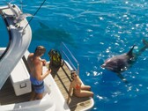 Si prevede che la pesca in GTA 6 sarà dettagliata più o meno quanto in Red Dead Redemption 2, ma i pesci catturati dovranno essere rilasciati.