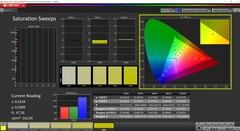 Saturazione CalMAN calibrata