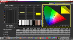 CalMAN ColorChecker (profilo: P3, spazio colore di destinazione: P3)