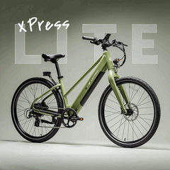 L'e-bike Lectric XPress Lite nella colorazione verde pino
