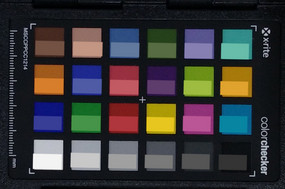 ColorChecker: Il colore target viene visualizzato nella metà inferiore di ciascun campo.