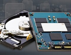 Gli HDD rimangono i dispositivi preferiti per il backup dei dati, mentre gli SSD sembrano essere più appropriati per l&#039;avvio del sistema operativo. (Fonte: HostingAdvice)