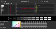Calman ColorChecker: Modalità di visualizzazione DisplayP3 - scala di grigi