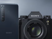L'Xperia 5 II è uno dei cinque smartphones Xperia che hanno ricevuto Android 11 finora. (Fonte: Sony)