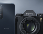 L'Xperia 5 II è uno dei cinque smartphones Xperia che hanno ricevuto Android 11 finora. (Fonte: Sony)