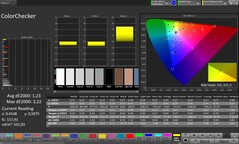 ColorChecker (Profilo: Professionale, Spazio colore di destinazione: sRGB)