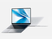 Tutti i modelli MagicBook 14 2022 sono disponibili nei colori Glacial Silver e Starry Sky Gray. (Fonte: Honor)
