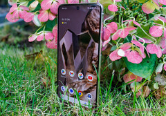 Il Pixel 8 Pro ha ottenuto quasi 40 correzioni con l'aggiornamento di dicembre 2023. (Fonte: Notebookcheck)