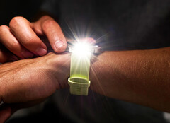 Garmin Connect ha problemi di connessione dopo l'ultimo aggiornamento (Fonte: Garmin)