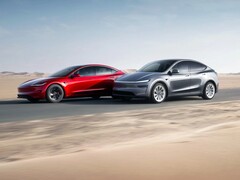 Tesla Model Y e Model 3