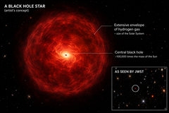 Il concetto di «stella buco nero»: un buco nero massiccio circondato da idrogeno denso.