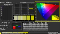 CalMAN: Saturazione (calibrata)