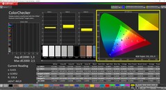 CalMAN ColorChecker calibrato