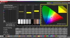 CalMAN ColorChecker (profilo: Display P3, spazio colore di destinazione: P3)