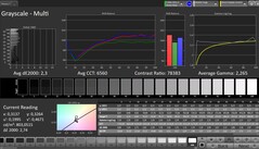 Scala di grigi (profilo: Professional, spazio colore di destinazione: sRGB)
