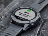 Garmin ha rilasciato la versione beta 27.76 per lo smartwatch Fenix 6. (Fonte: Garmin)