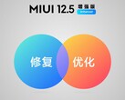 MIUI 12.5 Enhanced ha già raggiunto diversi dispositivi. (Fonte immagine: Xiaomi)