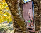 Il Pixel 8 non riesce a mantenere le promesse dell'AI di Google. (Immagine: Notebookcheck)