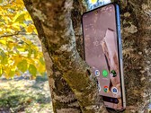 Il Pixel 8 non riesce a mantenere le promesse dell'AI di Google. (Immagine: Notebookcheck)