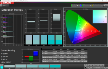 CalMAN saturazione colore (spazio colore target P3), profilo colore: default, vivido