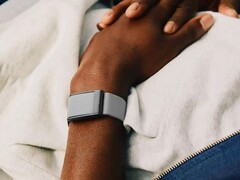 Il tracker di Whoop sembra avere problemi significativi (Fonte: Whoop)