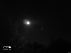 Gli oggetti luminosi, come la luna e le stelle, appaiono più luminosi nella modalità di visione notturna rispetto alla modalità di ripresa standard.