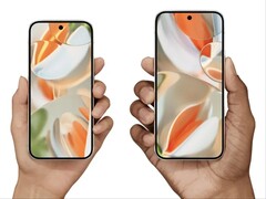 Pixel 9 e Pixel 9 Pro XL sono stati lanciati rispettivamente a 799 e 1099 dollari. (Fonte immagine: Google)