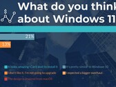 Gli utenti rivelano i loro pensieri su Windows 11. (Fonte: WindowsReport)