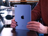 L'iPad mini 6 non soffre di jelly scrolling peggio di altri iPad. (Fonte immagine: iFixit)