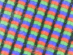 I subpixel RGB con rivestimento opaco risultano leggermente sgranati